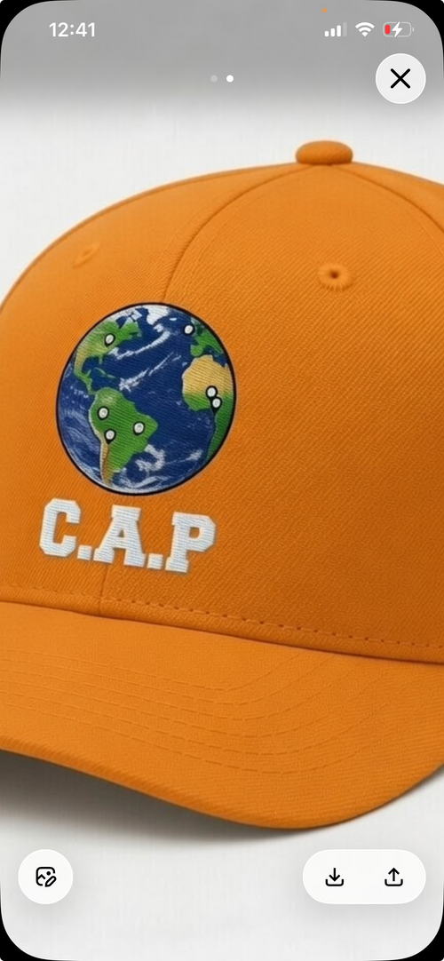 CAP Connecting All People Phone Case - Globe